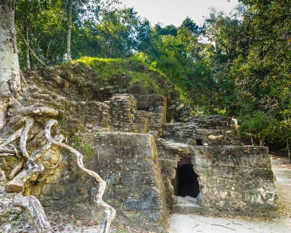 travel-agency-tour-el-mirador-jungle-trek-structure-5×4