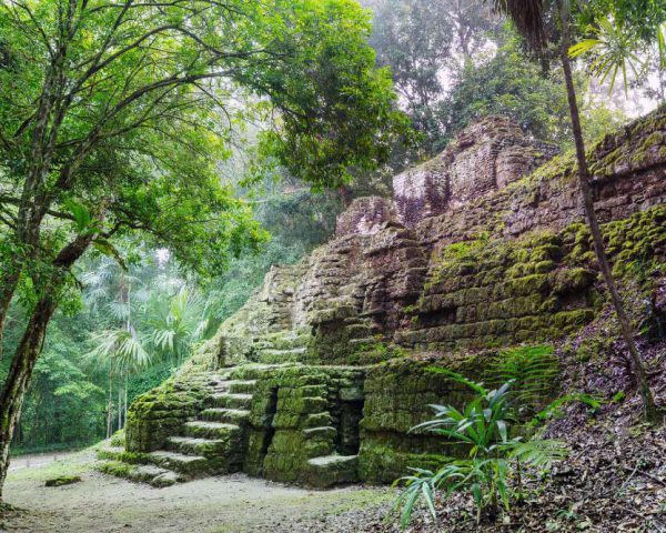 travel-agency-tour-el-mirador-jungle-trek-structure2-5×4